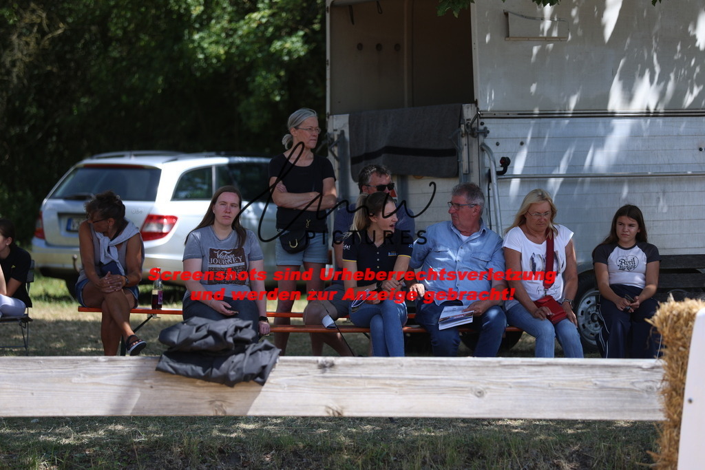 Fohlenschau_Schwäbisch_Hall_IMPRESSIONEN_2 | lmwpictures - Realisiert mit Pictrs.com