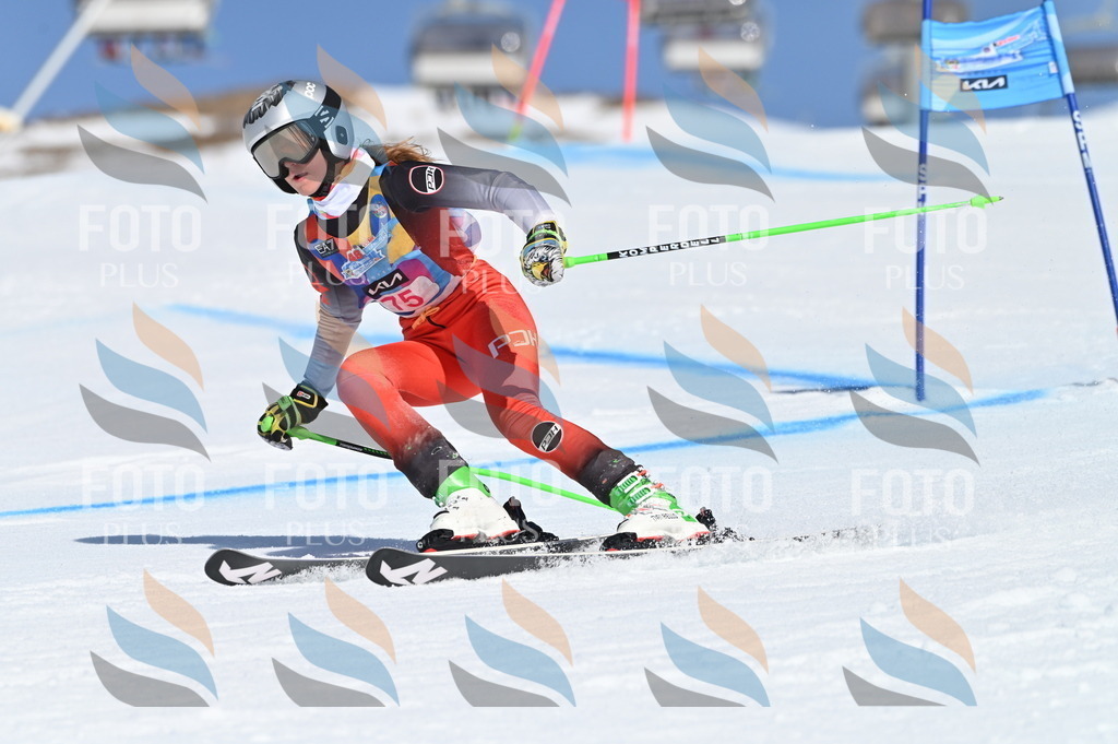 BGV_9002 | holidayphoto