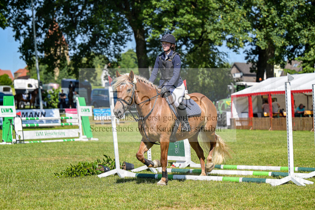 Reitturnier Voxtrup | Entdecke hochwertige Reitturnierfotos von Foto Oger. Professionell, emotional und authentisch – jetzt Lieblingsmomente im Shop bestellen.Deutschlandweite Turnierfotografie. - Realisiert mit Pictrs.com