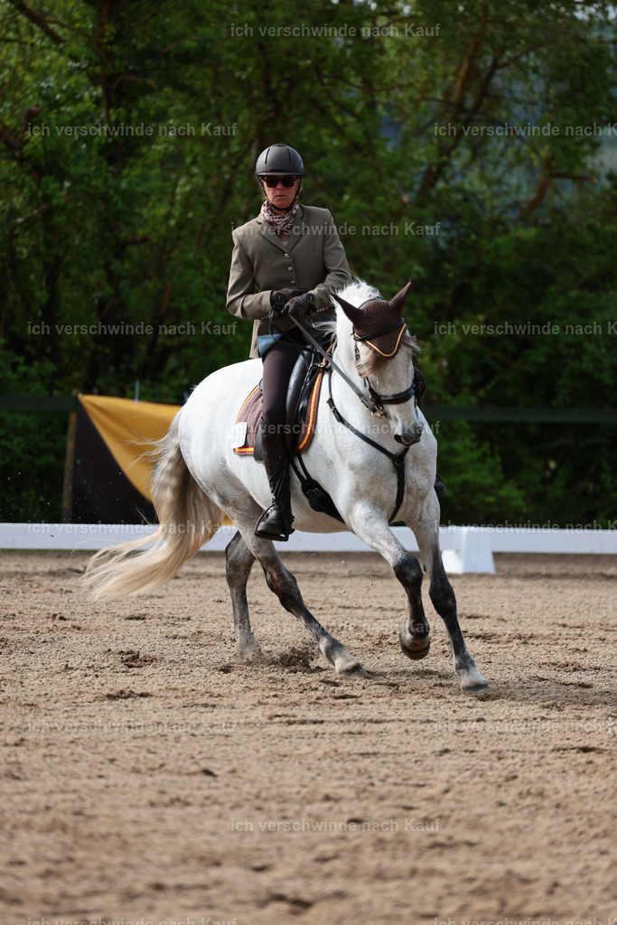 Masterclass_stoibphotography_C2_L4670.JPG | working equitationturnier fotograf videograf stoibphotography marixx film working equitation deutschland reitsport turnierfotografie eventfotografie equestrian events
