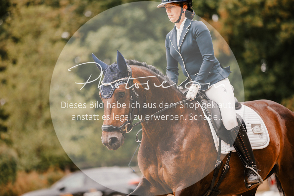 3I6A5962 | Stimmungsvolle Portraits und Reitsportfotografie im Ruhrgebiet und im Münsterland.

Pferdefotografie, Hundefotografie, Tierfotografie, Reportagen, Portraits von Tier und Mensch, Turnierfotografie in Bochum, Recklinghausen, Marl, Haltern am See, Dülmen.. - Realisiert mit Pictrs.com