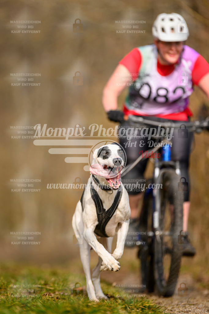 MompixPhotography_Schwabentrail2024_Bike-4 | PayLife