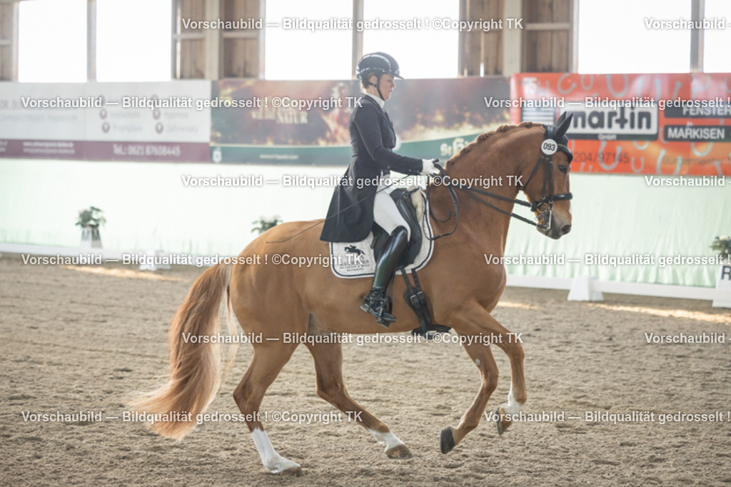 _D5A7936 | Emotionale Pferde- & People-Fotografie rund um Heidelberg, Leimen & Umgebung. Natürliche Fotos von Pferd, Mensch & Familie. Jetzt Termin sichern!