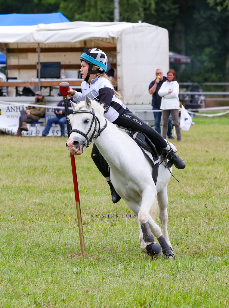1B3A0106 | Reitsport Reiten