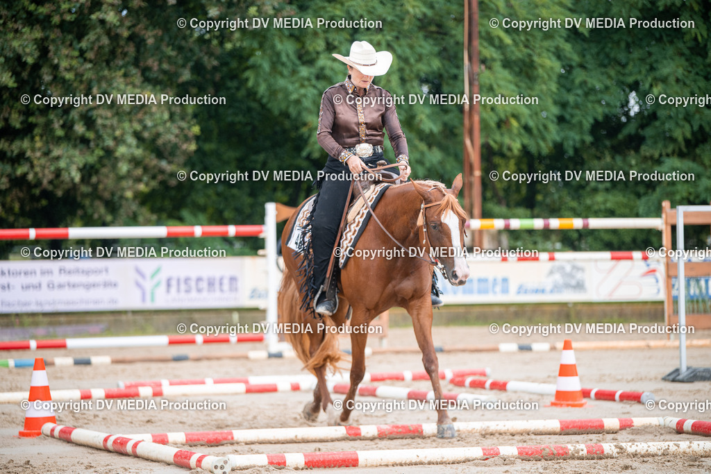 ZS2_3998 | dv-media-shop - Realisiert mit Pictrs.com