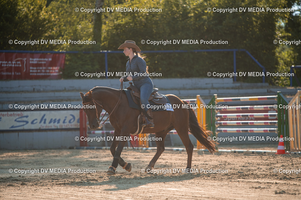 ZS2_9032 | dv-media-shop - Realisiert mit Pictrs.com