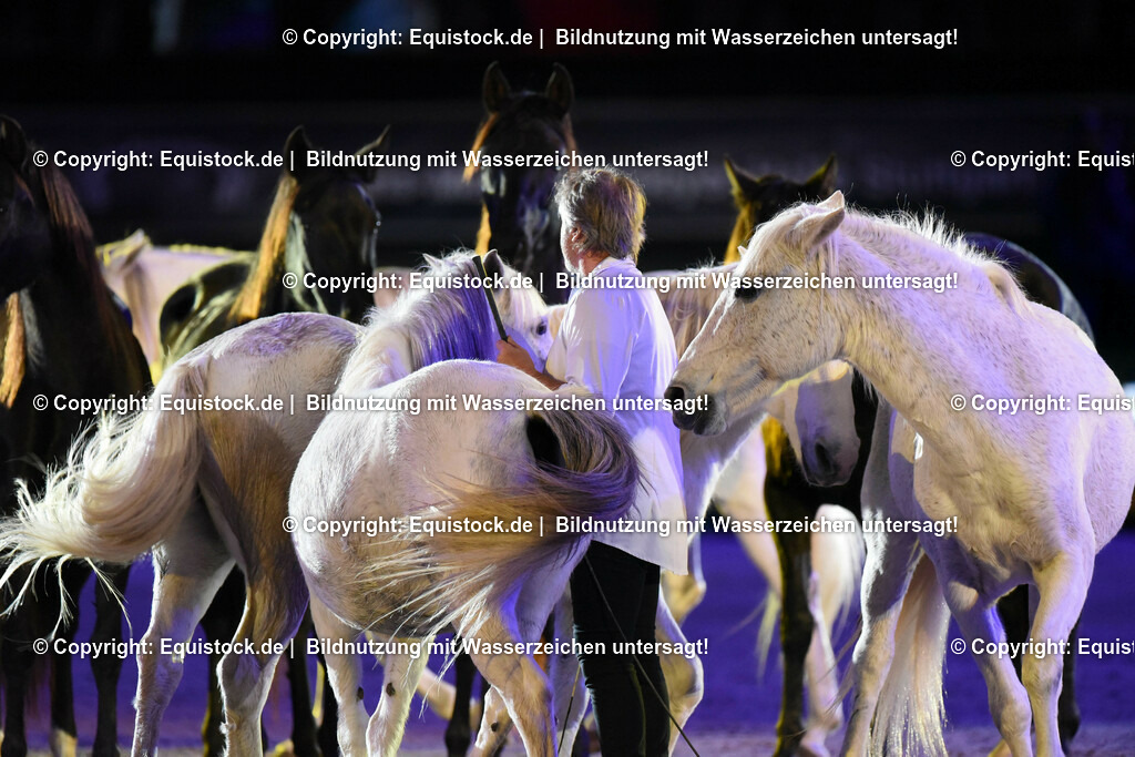 20231115_Show-Jean-Francois-Pignon_0147_TOMsPiC | Foto: Thomas Hartig