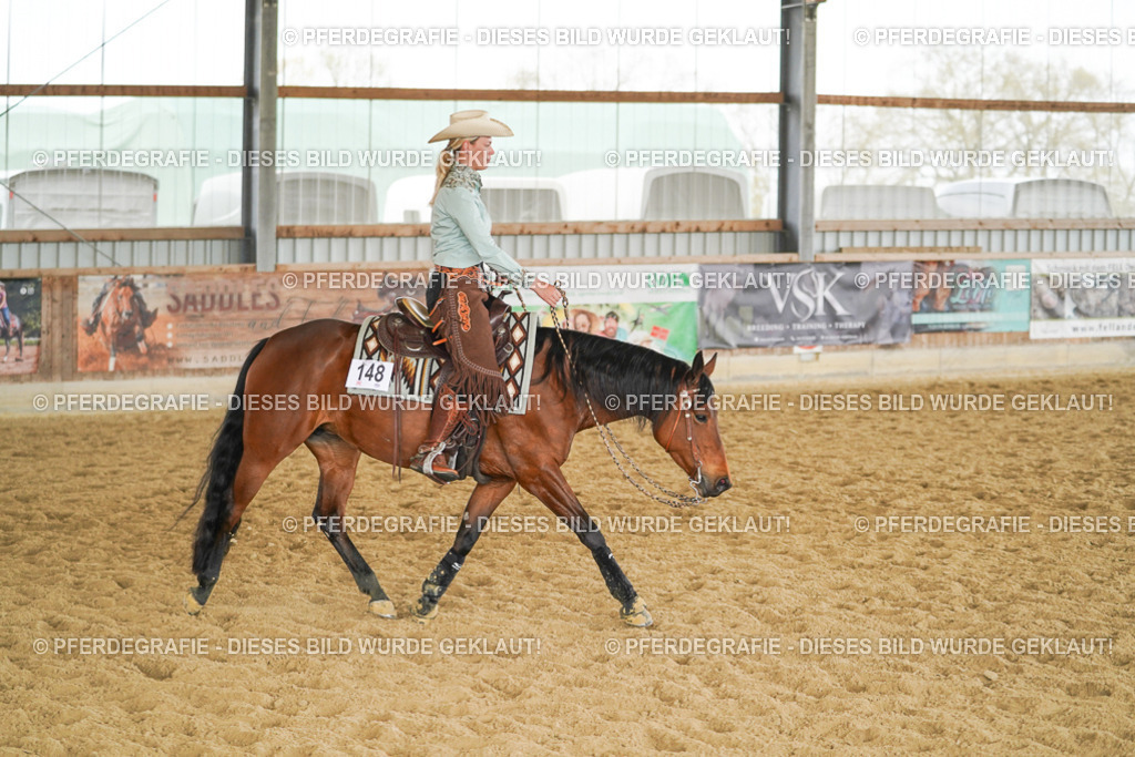 DSC05432 | Pferdegrafie