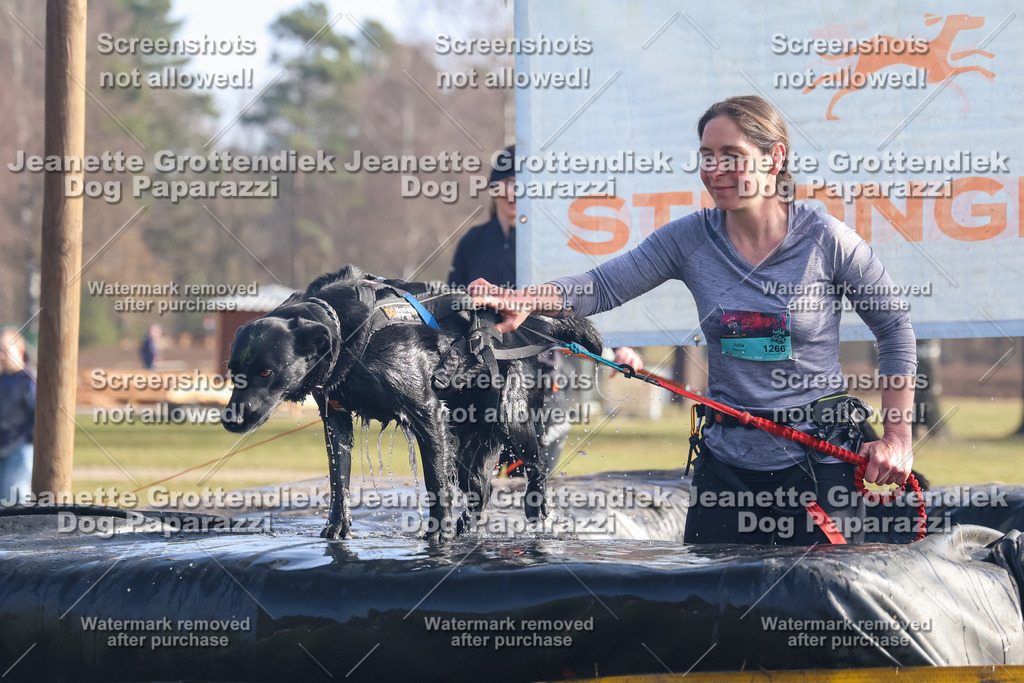 Dog Paparazzi - Strongdog North Mrz26-809 | Dog Paparazzi Jeanette Grottendiek Fotografie & Videografie - Realisiert mit Pictrs.com