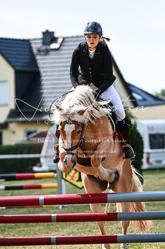 DSC_8736 | Pferde- und Turnierfotografie in Westsachsen. Pferdeportraits, Auftragszeichnungen und intuitive Kunst.