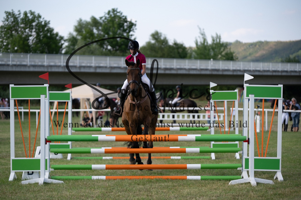 A7V00796 | Pferdefotograf