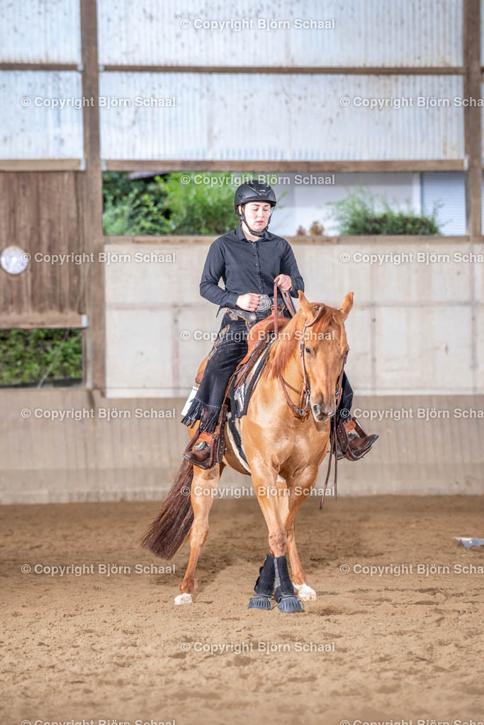LMB05948 | BS-foto