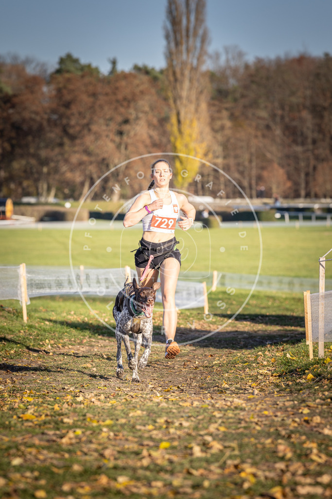 CaniXpix_DV3A1994 | Hundefotografie, Tierfotograf, Pfotenfotografie, Fotoshooting Hund, Hunde Portrait, Hundesport, Hundeportraits, Heideshooting, Hunde, Sportfotograf, Hundefotograf, Turnierhundsport, THS,  - Realisiert mit Pictrs.com