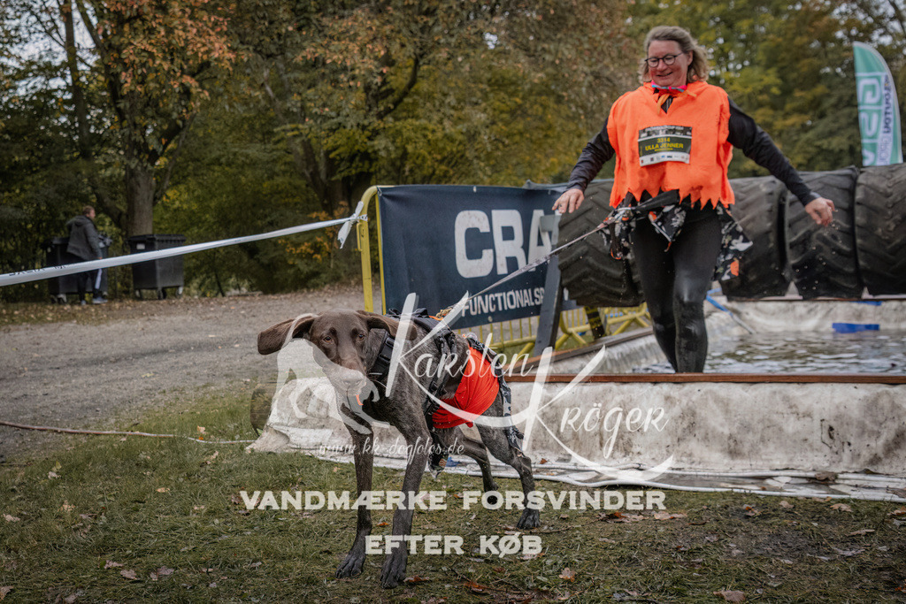 1623_ZZ93166 | kk-dogfotos