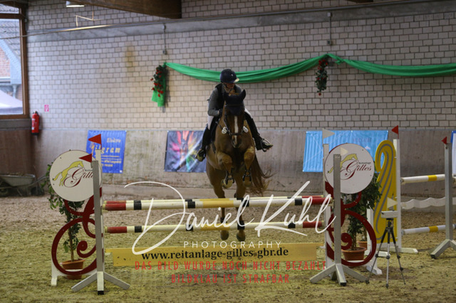 IMG_0885 | Turnierfotos kaufen im Webshop von Daniel Kuhl Photography – entdecke professionelle Reitsportfotos aus Turnieren & Events. Hochwertige Turnierbilder online bestellen & sichern. Jetzt Fotos von Reitsportturnieren kaufen!