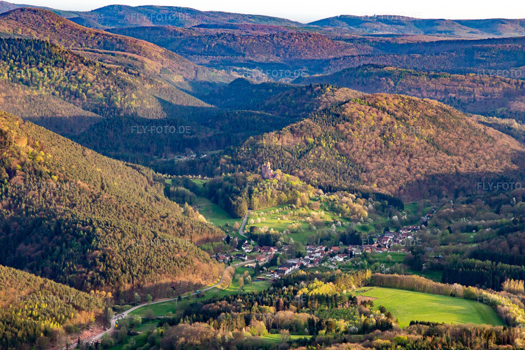 Luftbild: Burg Berwartstein von Norden in Erlenbach bei Dahn im Bundesland Rheinland-Pfalz in Deutschland. Foto: IMG_140216.jpg vom 11.04.2024 durch Werner Riehm/FLY-FOTO.de