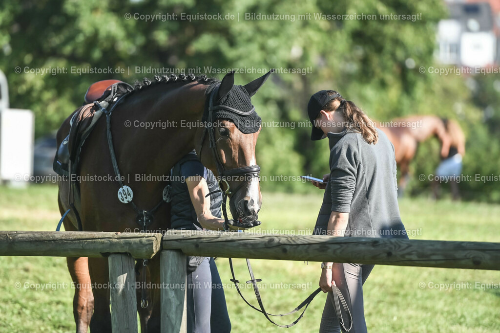 20230908_14-15_Springpferde-A_0105 | equistock