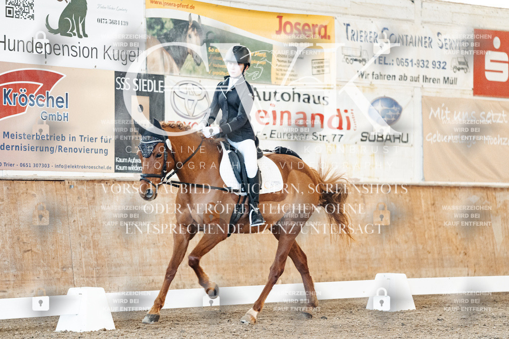 CK906622 | Turnierfotografie Pferdefotografie Trier Rheinland-Pfalz Pferdesport Reitsport Tierfotografie Sportfotografie Pferdevideo Pferdevideografie Equestrianvideography equestrianphotography  - Realisiert mit Pictrs.com