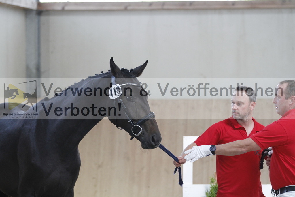 _MG_0594 | equestrian-live-com