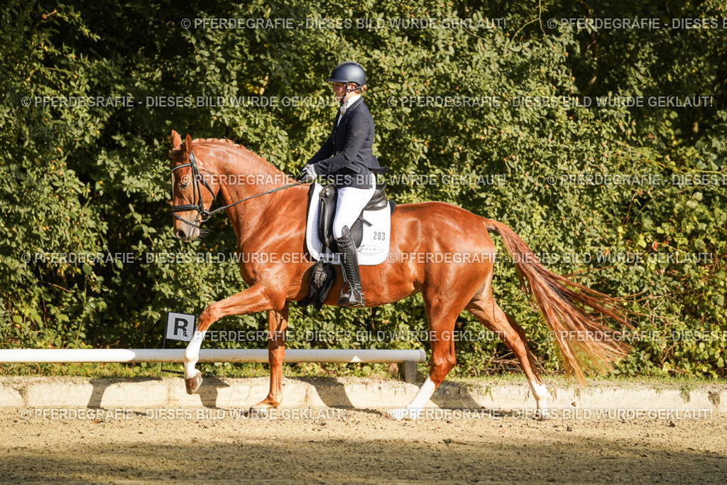 DSC05445 | Pferdegrafie