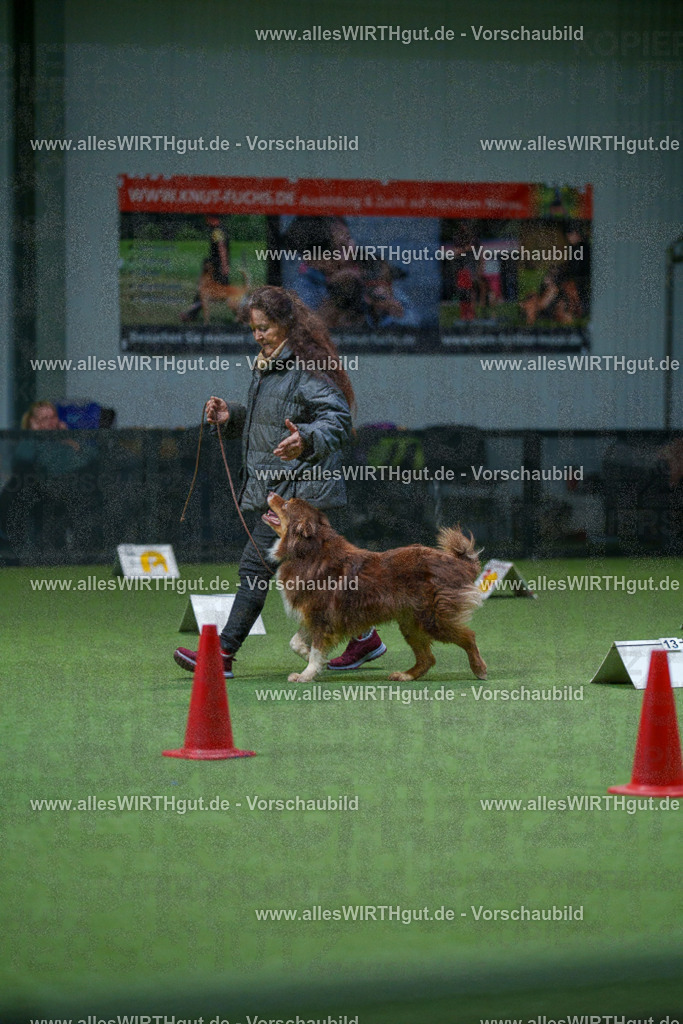 7R501197 | Professionelle Tierfotografie in Mönchengladbach von Daniel Wirth (allesWIRTHgut). Liebevolle & natürliche Bilder von Hunden & Katzen für unvergessliche Erinnerungen.