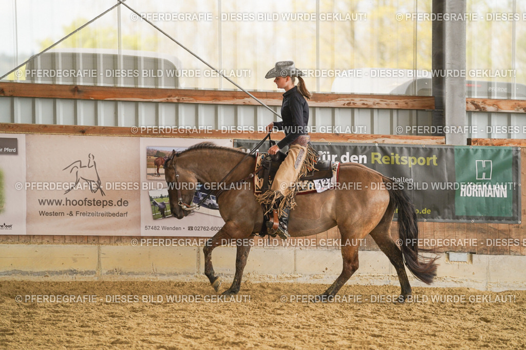 DSC08189 | Pferdegrafie