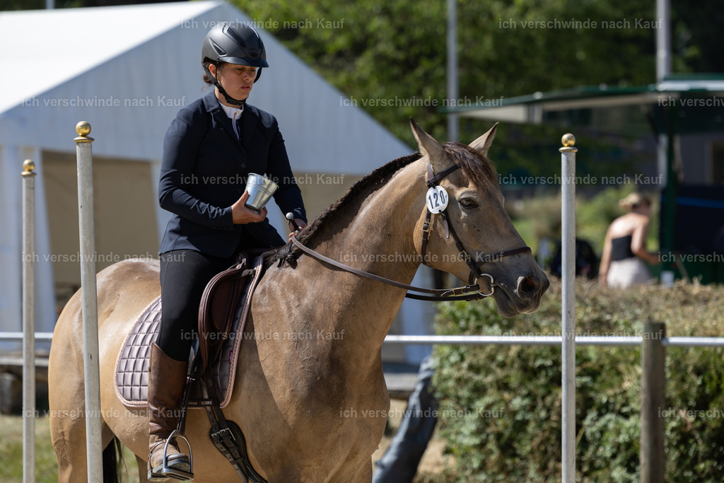 WA_Trail_120_KerstinBernhardt-14 | working equitationturnier fotograf videograf stoibphotography marixx film working equitation deutschland reitsport turnierfotografie eventfotografie equestrian events