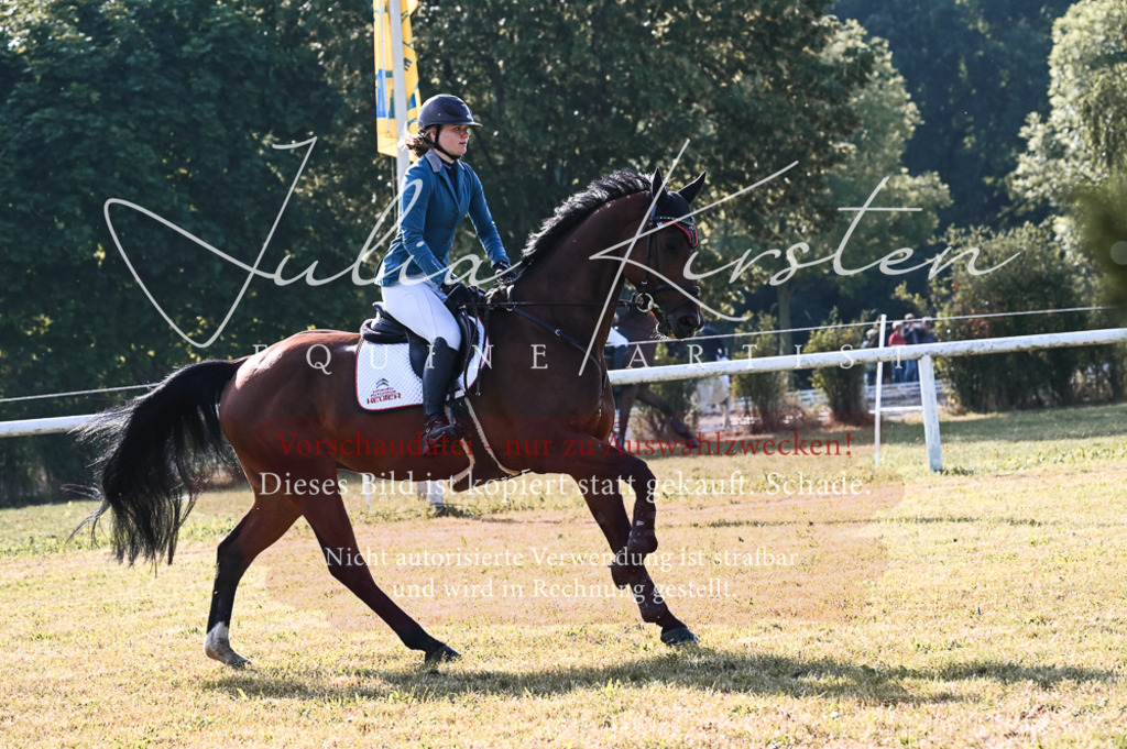 DSC_7559 | Pferde- und Turnierfotografie in Westsachsen. Pferdeportraits, Auftragszeichnungen und intuitive Kunst.