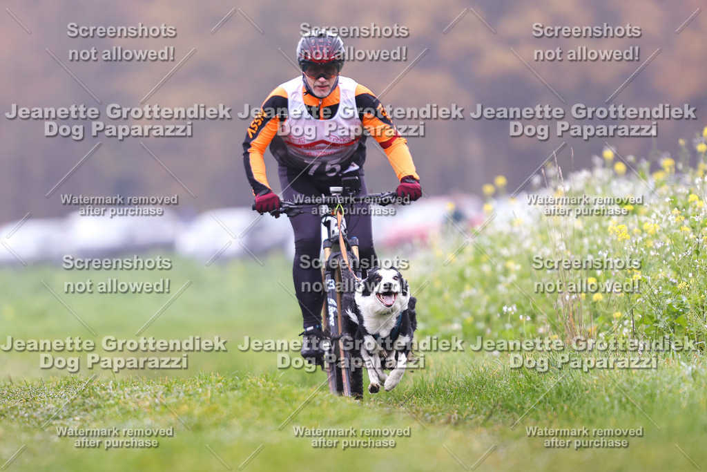 Dog Paparazzi - Visbeck 25 -168 | Dog Paparazzi Jeanette Grottendiek Fotografie & Videografie - Realisiert mit Pictrs.com