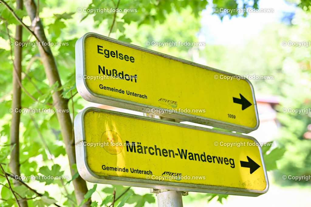 Unterach am Attersee_ Maerchenwald_ 11.08.2023-3 | 11.08.2023, Unterach am Attersee, AUT, Maerchenwald, Maerchenweg, im Bild Wegweiser Maerchewald, Maerchen-Wanderweg