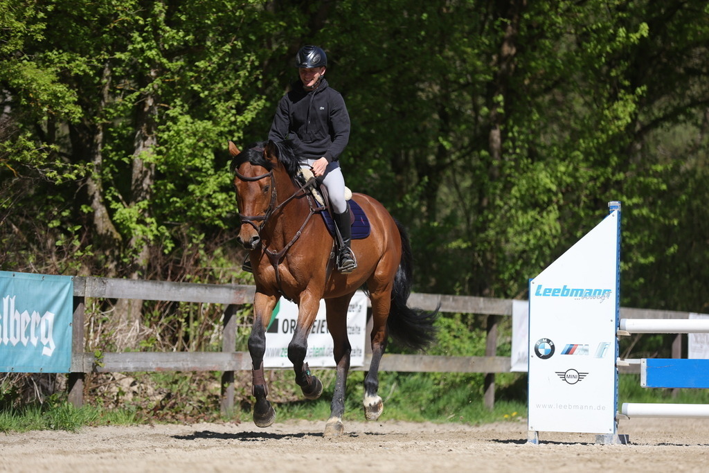0P6A8116 | Willkommen bei Brunnmayr - Design & Fotografie – Ihrem Spezialisten für Reitturniere und Pferdeveranstaltungen in Oberösterreich, Salzburg und Bayern! Seit über 17 Jahren sind wir leidenschaftlich dabei.