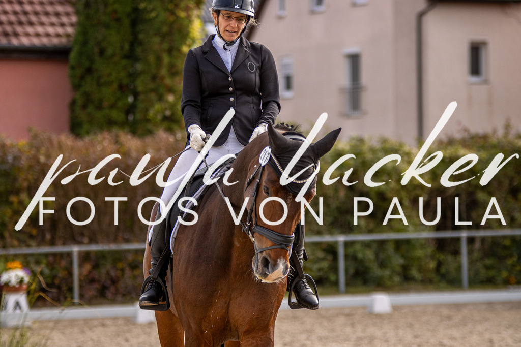 IMG_3279 | Erleben Sie dynamische Sport- und emotionale Tierfotografie in Süddeutschland mit Fotos von Paula. Spezialisiert auf Pferde- und Hundefotografie sowie Sportevents. Kontaktieren Sie mich für einzigartige und ausdrucksstarke Bilder Ihrer besonderen Momente.