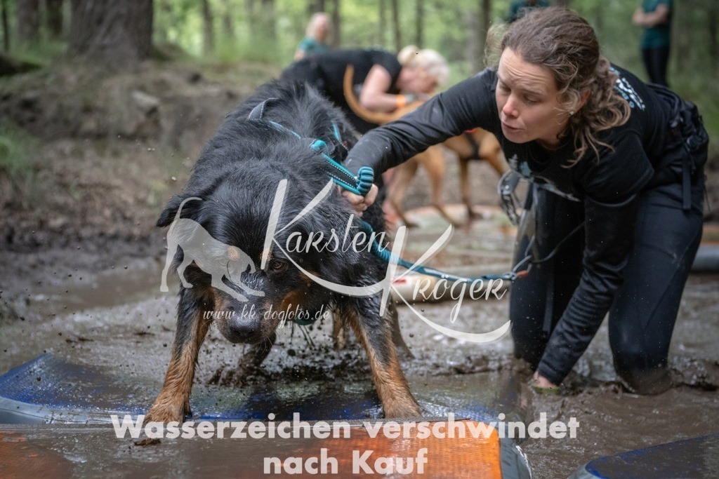 1227_ZZ99274T | kk-dogfotos