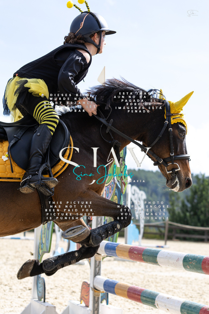 IMG_2628 | s-jay-photography - Realisiert mit Pictrs.com