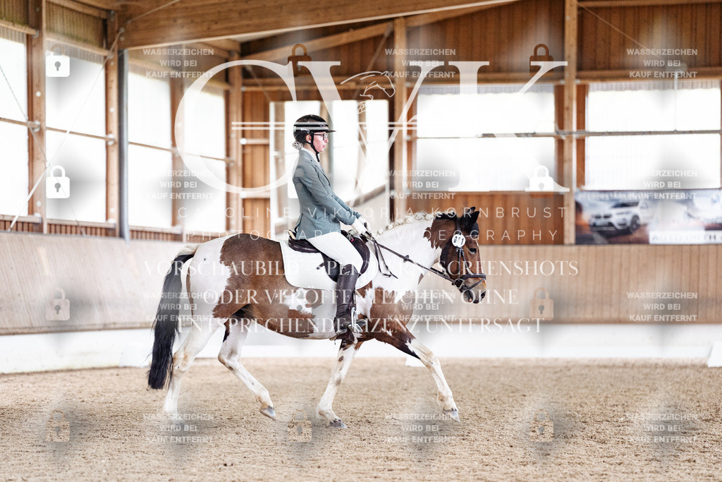 CK901099 | Turnierfotografie Pferdefotografie Trier Rheinland-Pfalz Pferdesport Reitsport Tierfotografie Sportfotografie Pferdevideo Pferdevideografie Equestrianvideography equestrianphotography  - Realisiert mit Pictrs.com