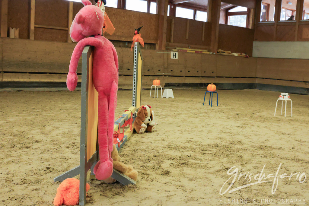 kunterbunt-5 | grischafario photography