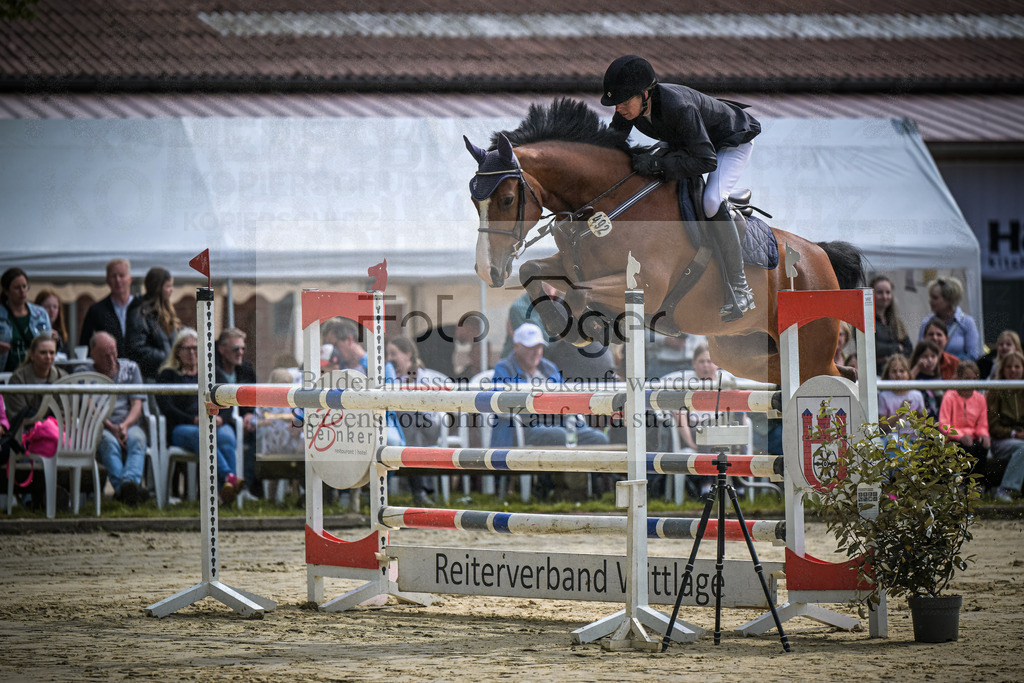 DOS_1355 | Entdecke hochwertige Reitturnierfotos von Foto Oger. Professionell, emotional und authentisch – jetzt Lieblingsmomente im Shop bestellen.Deutschlandweite Turnierfotografie. - Realisiert mit Pictrs.com