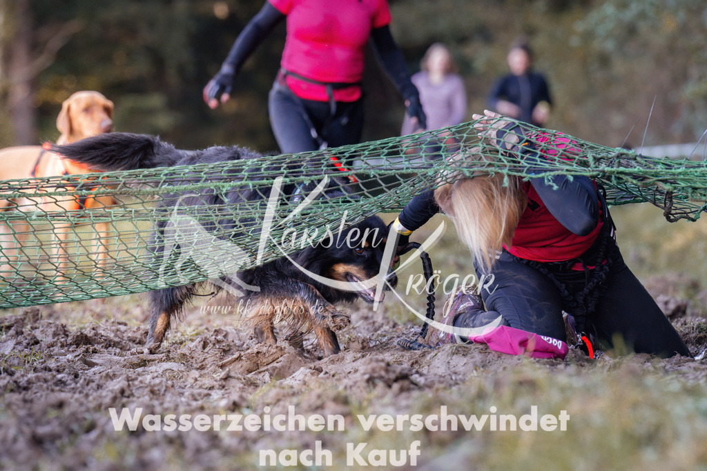 1024_ZZ91174 | kk-dogfotos