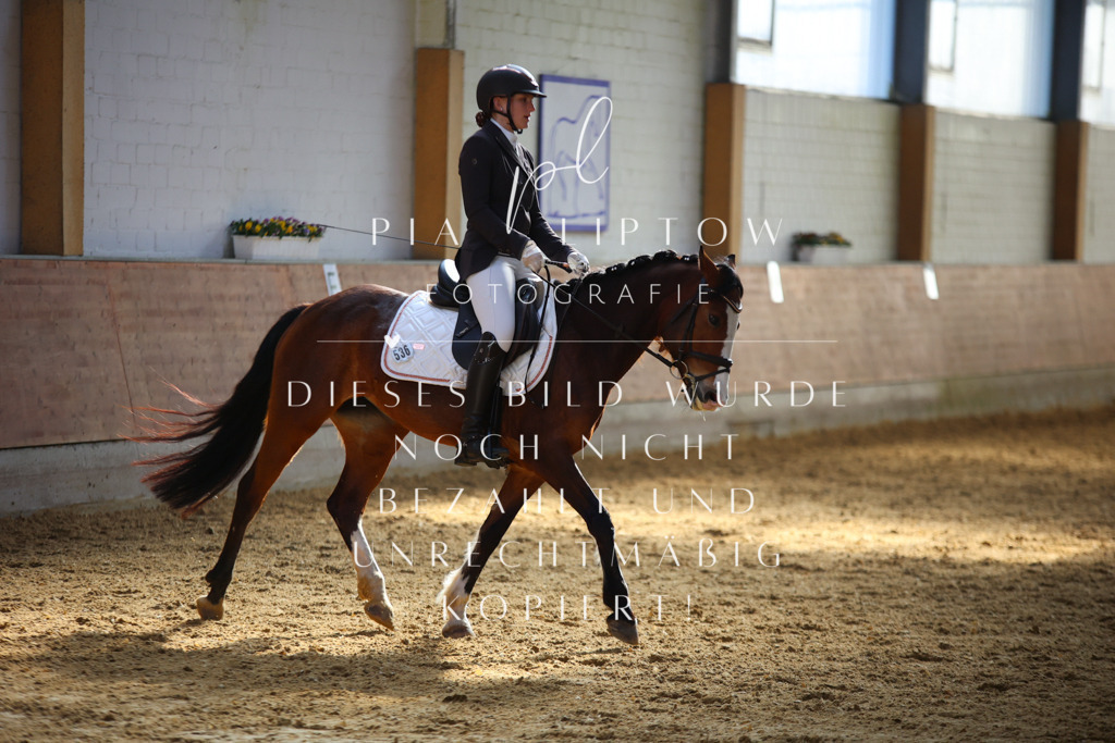 IMGT6565 | pl-fotografie