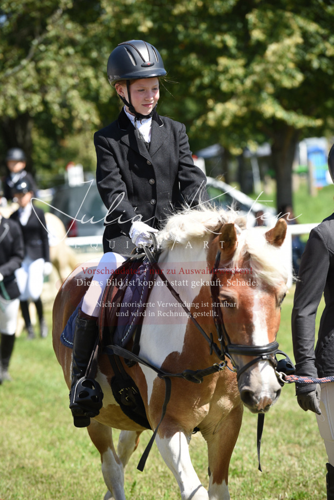 DSC_9678 | Pferde- und Turnierfotografie in Westsachsen. Pferdeportraits, Auftragszeichnungen und intuitive Kunst.