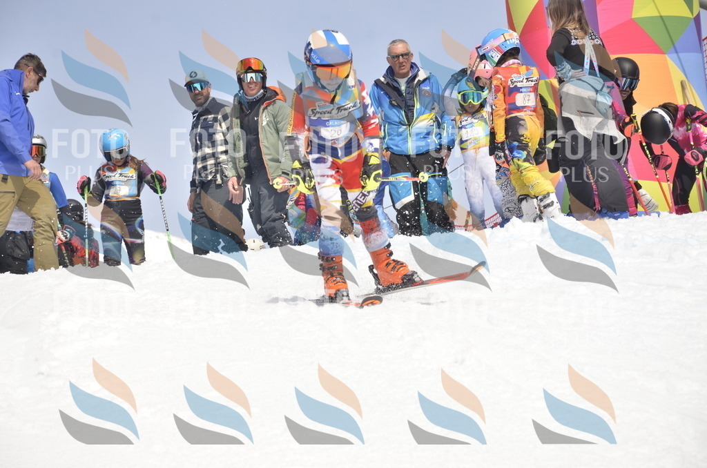 _ELE8882 | holidayphoto