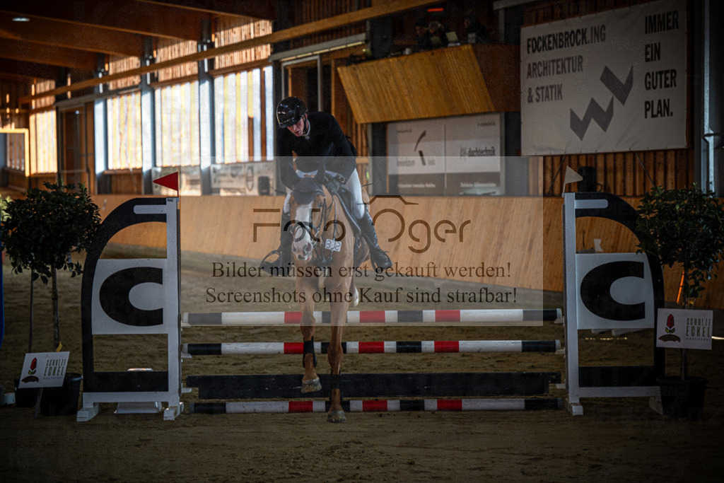 DOS_0561 | Entdecke hochwertige Reitturnierfotos von Foto Oger. Professionell, emotional und authentisch – jetzt Lieblingsmomente im Shop bestellen.Deutschlandweite Turnierfotografie. - Realisiert mit Pictrs.com