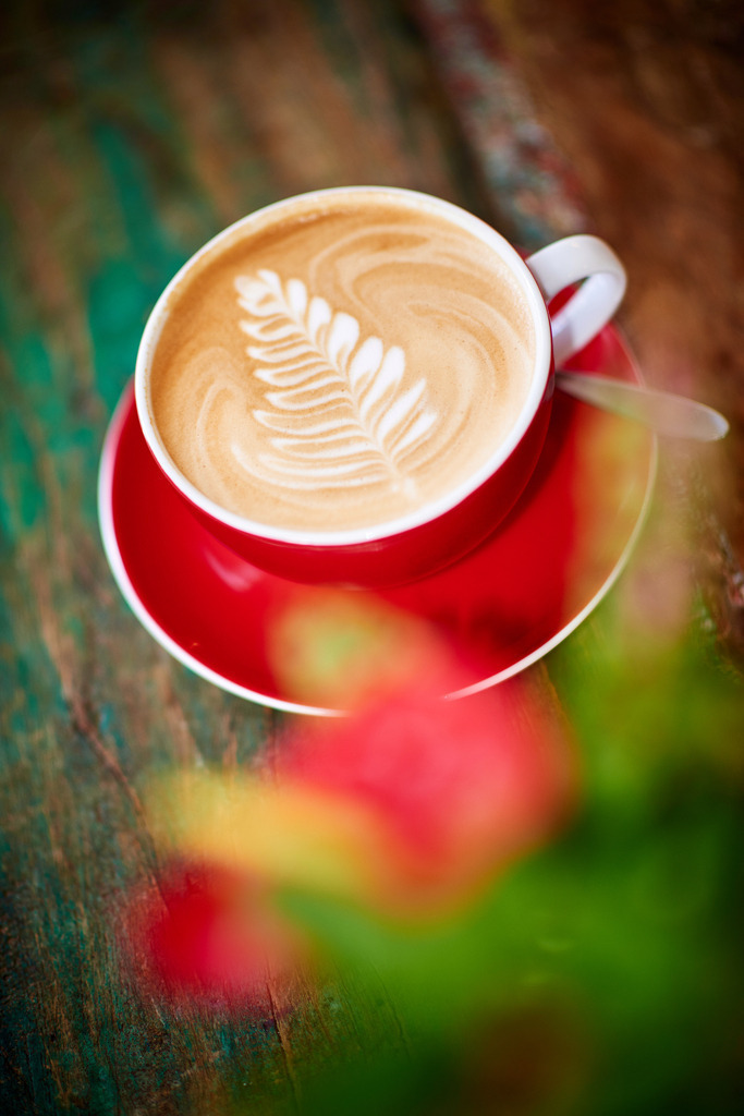 Cafebrennerei Franze | Wien, Austria - August 08, 2019: Cafebrennerei Franze am Kutschkermarkt. - Realisiert mit Pictrs.com