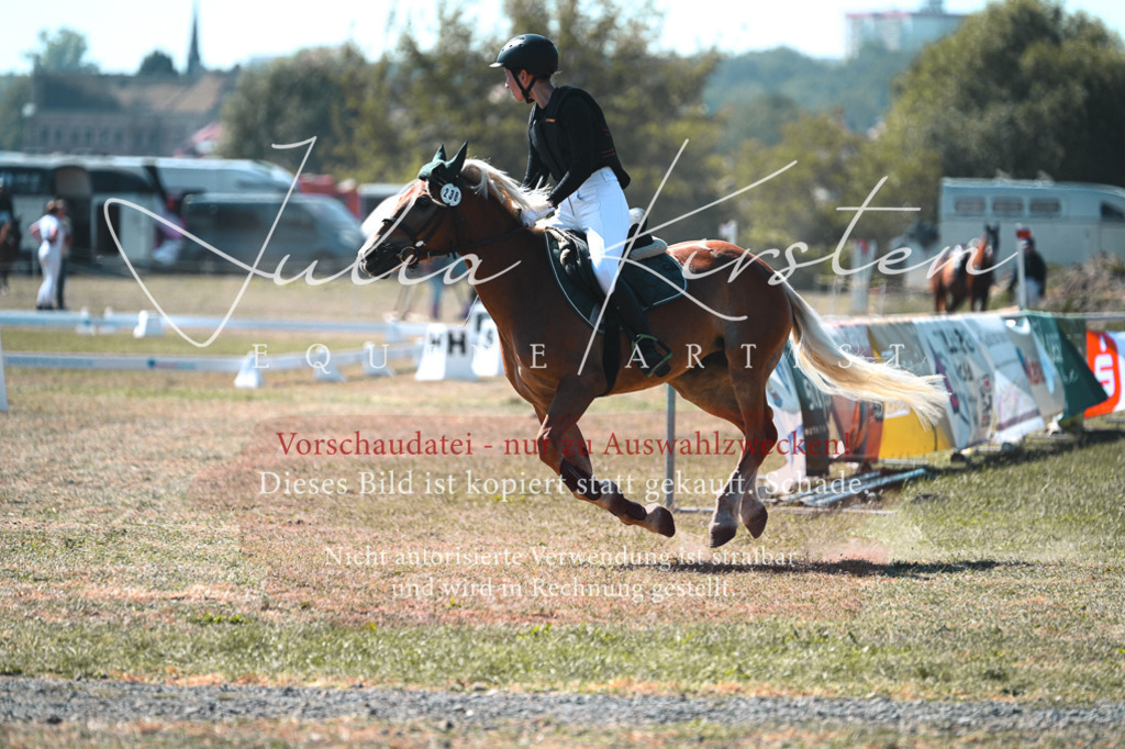 DSC_8072 | Pferde- und Turnierfotografie in Westsachsen. Pferdeportraits, Auftragszeichnungen und intuitive Kunst.