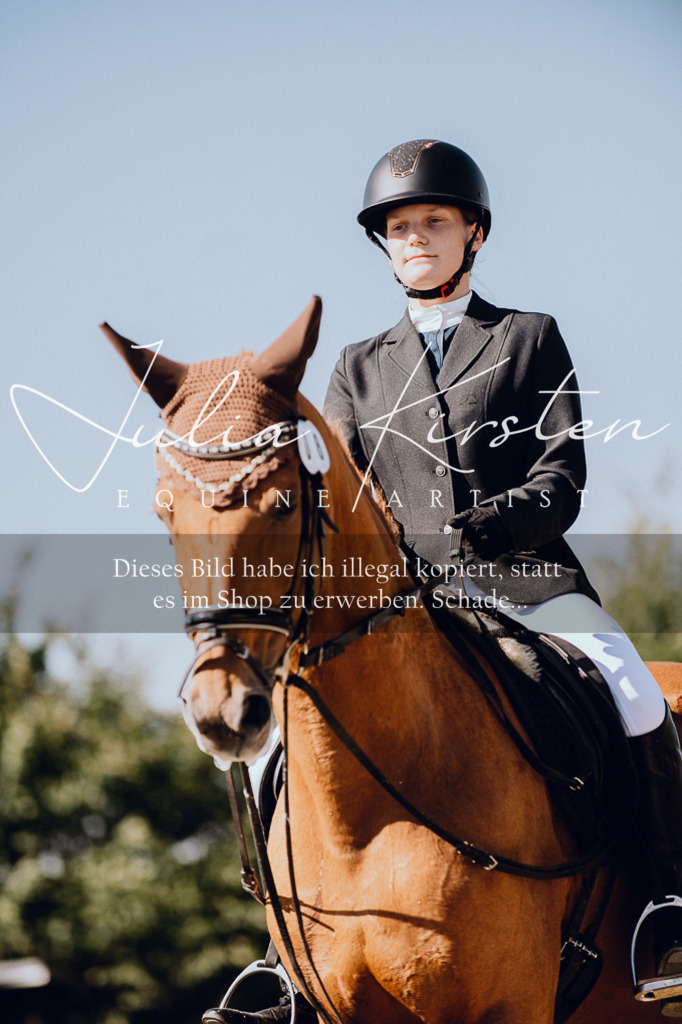 DSC_7273 | Pferde- und Turnierfotografie in Westsachsen. Pferdeportraits, Auftragszeichnungen und intuitive Kunst.