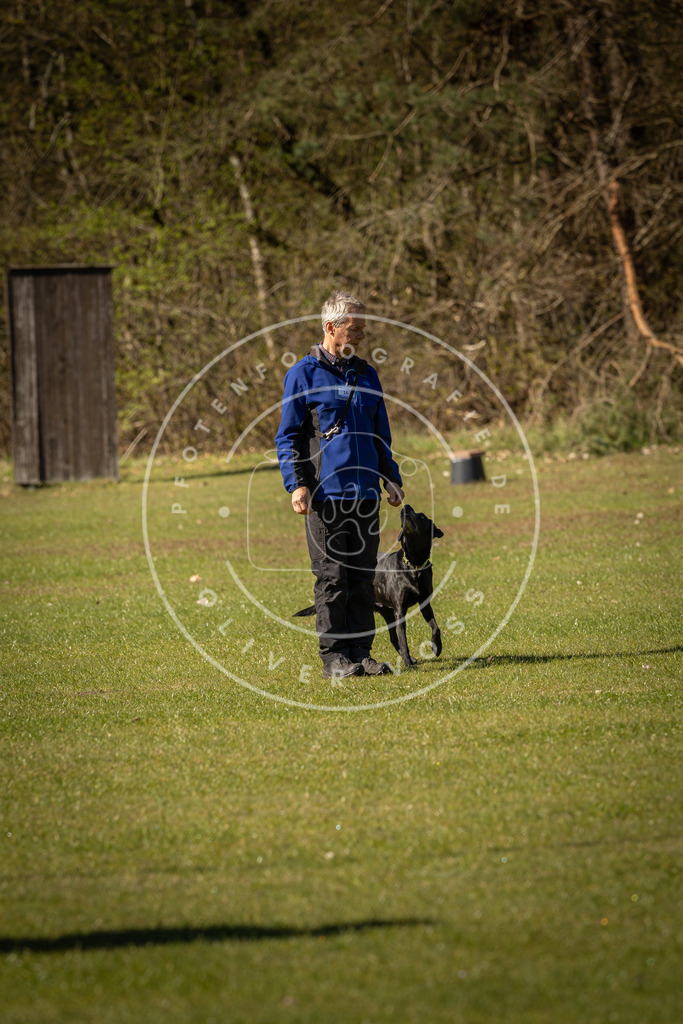 Pfotenfotografie_DV3A0366 | Hundefotografie, Tierfotograf, Pfotenfotografie, Fotoshooting Hund, Hunde Portrait, Hundesport, Hundeportraits, Heideshooting, Hunde, Sportfotograf, Hundefotograf, Turnierhundsport, THS,  - Realisiert mit Pictrs.com