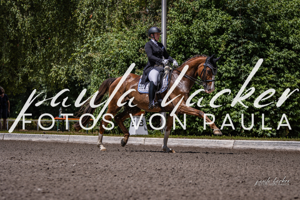 IMG_8229 | Erleben Sie dynamische Sport- und emotionale Tierfotografie in Süddeutschland mit Fotos von Paula. Spezialisiert auf Pferde- und Hundefotografie sowie Sportevents. Kontaktieren Sie mich für einzigartige und ausdrucksstarke Bilder Ihrer besonderen Momente. - Realisiert mit Pictrs.com