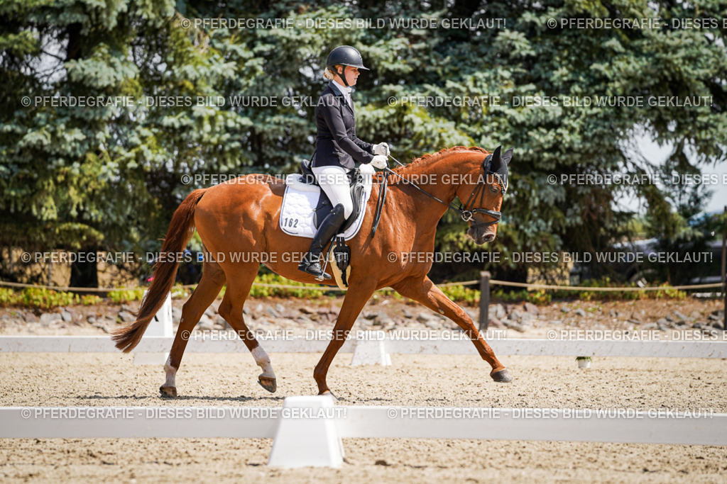 DSC00908 | Pferdegrafie