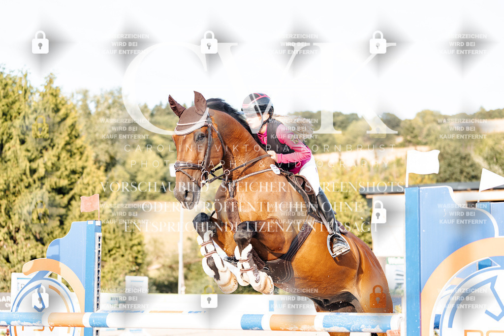 CK903607 | Turnierfotografie Pferdefotografie Trier Rheinland-Pfalz Pferdesport Reitsport Tierfotografie Sportfotografie Pferdevideo Pferdevideografie Equestrianvideography equestrianphotography  - Realisiert mit Pictrs.com