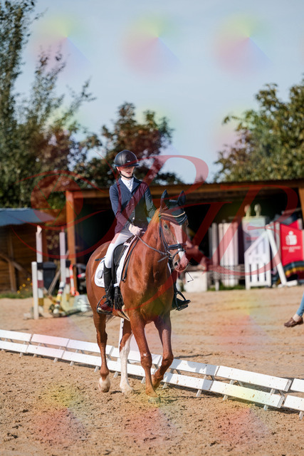2026_10_03_Siefer-Hof_123654_Z63_54487648 | Professionelle Reitsport-, Turnier- und Eventfotografie von Robert Broda. Galerien mit ausgewählten und bearbeiteten Bildern direkt online ansehen und bestellen.